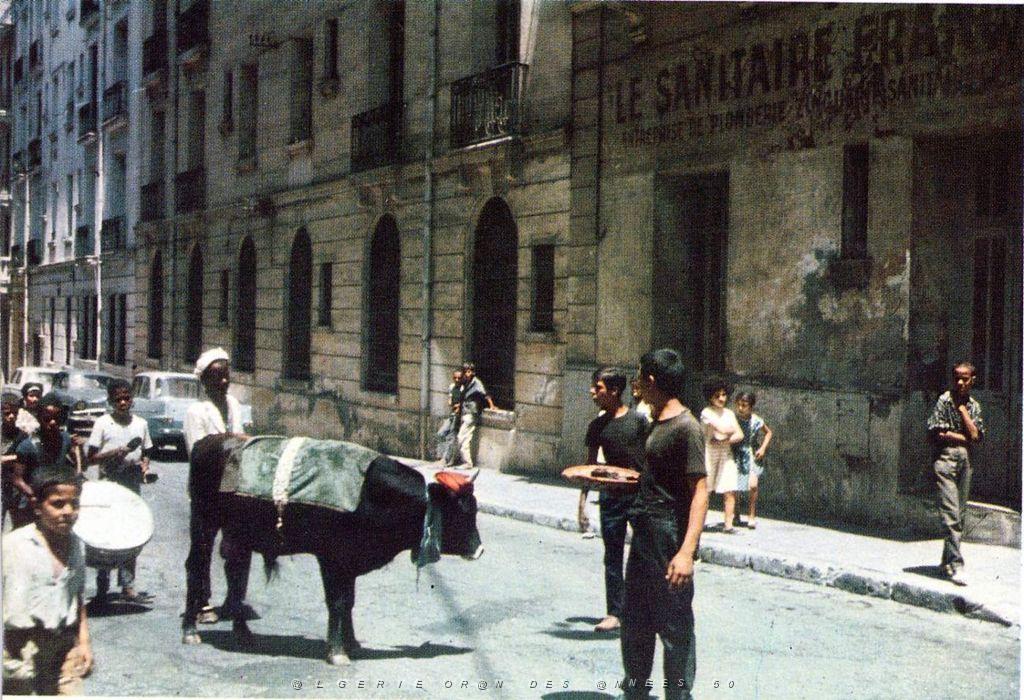 Oran- SDV- 0926.JPG